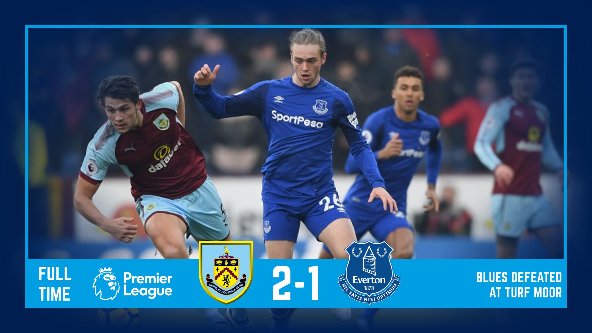 生动物爱好 生动物爱好